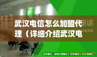武汉电信加盟代理全指南 详细流程、条件与移动电信业务代理服务解析